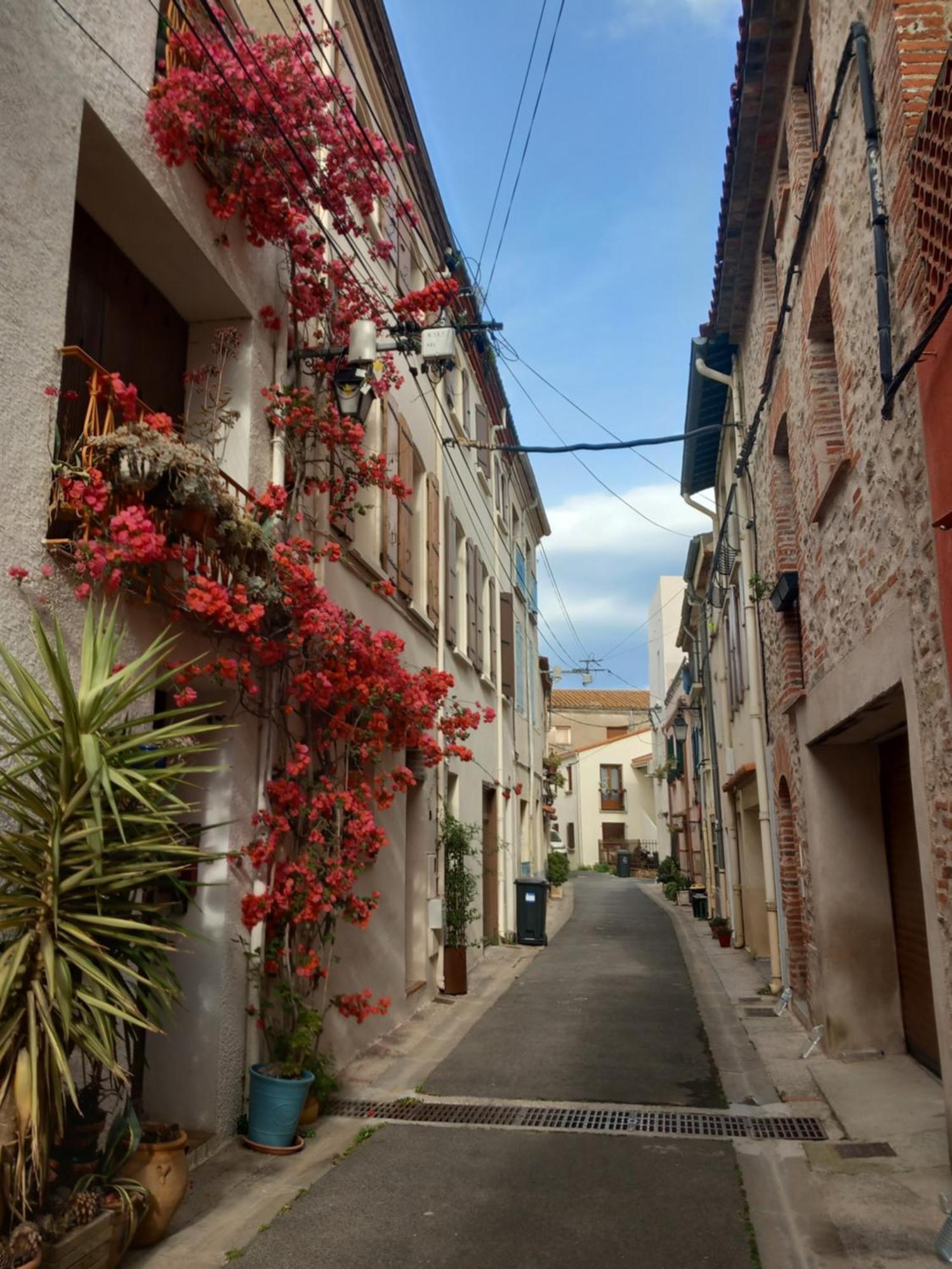 Maison De L'Esprit Catalan Argelès-sur-Mer Extérieur photo